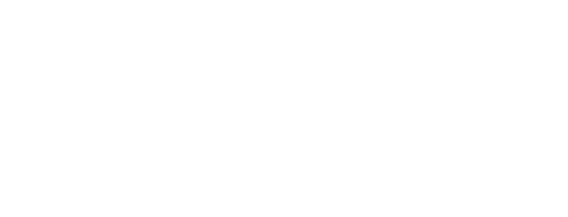 2014_Plunet_Logo_Translation_Management_Systems_blue-1.png